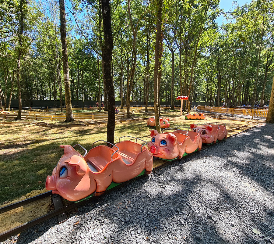 attraction petits cochons Family Park